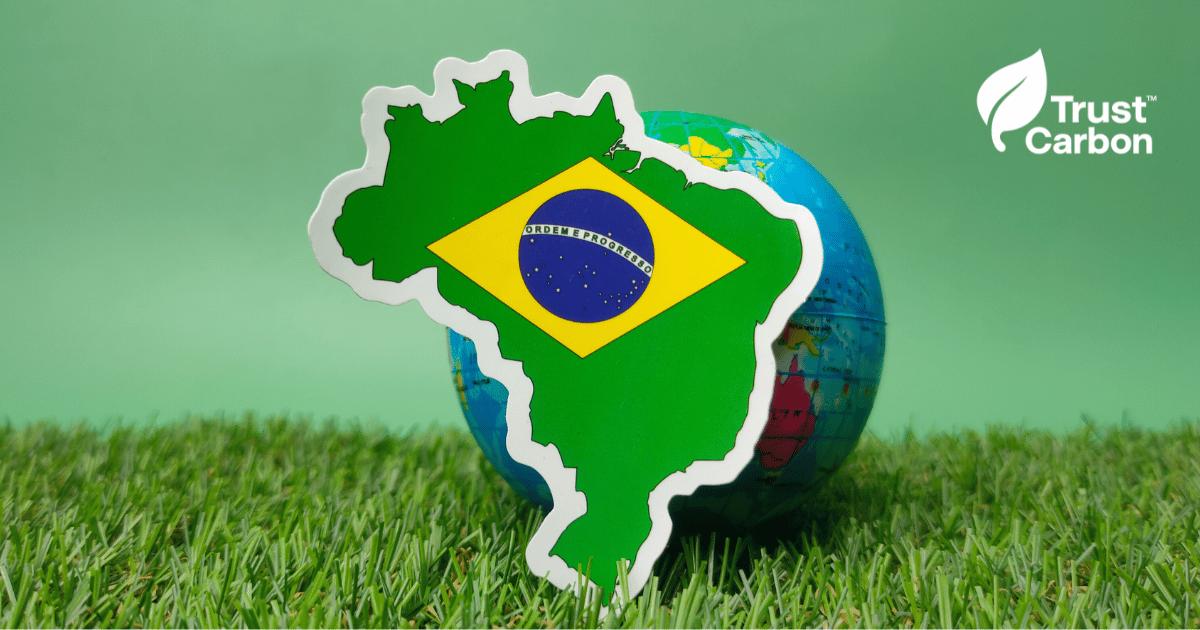 Carbon Market Brazil 2025
