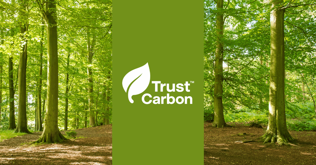 Trust Carbon innovation Brazil